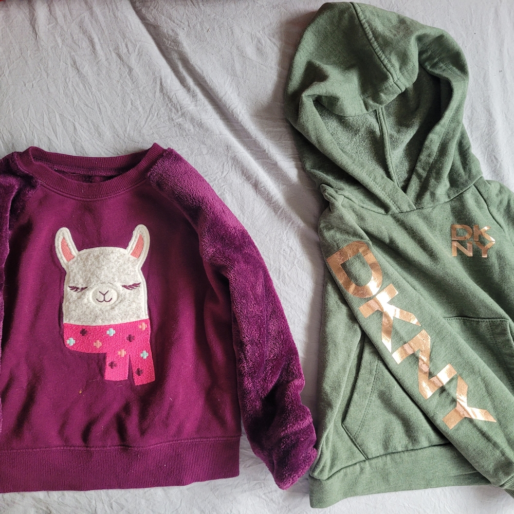 DKNY Girls' Green Logo Hoodie & Purple Llama Sweatshirt - 3T